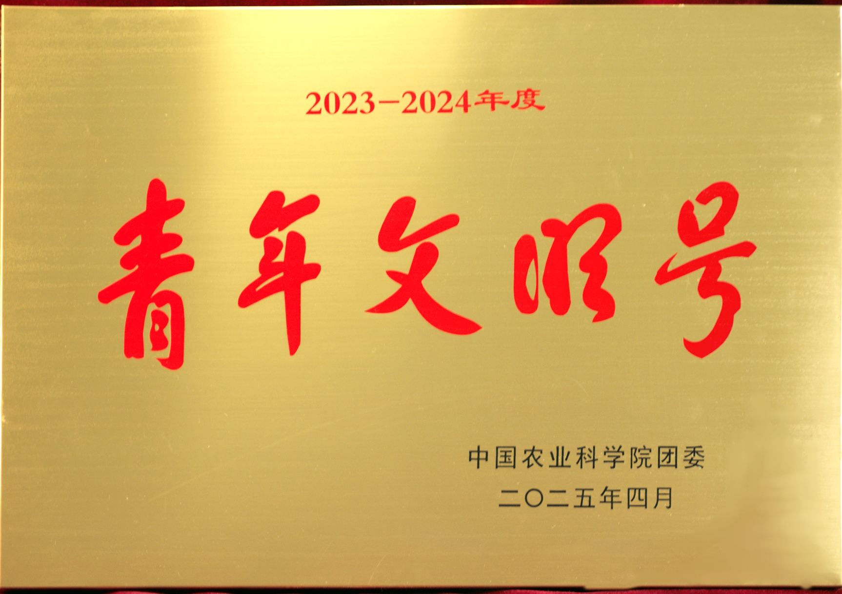 青年文明号.png