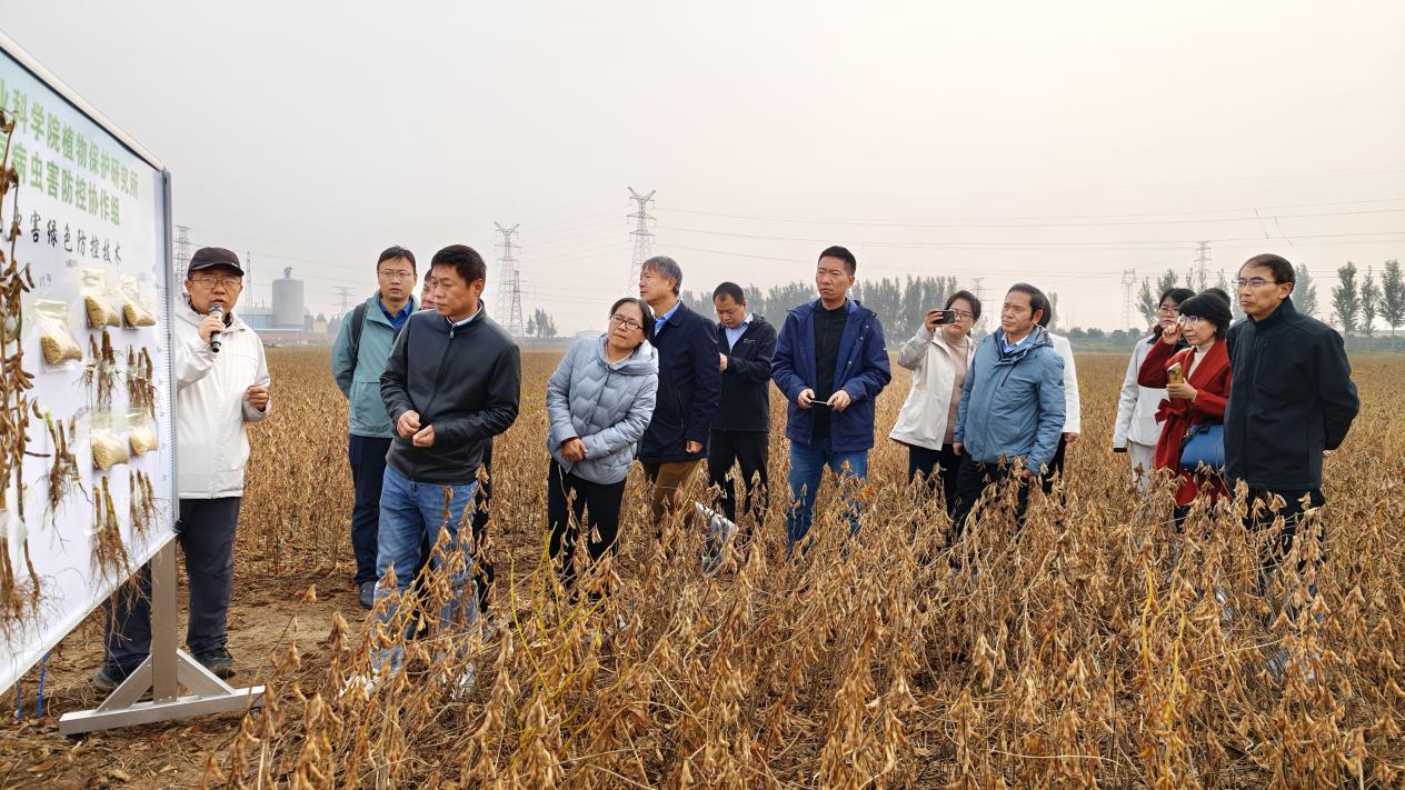 应对不利气候显成效，大豆绿色防控技术在豫交出高产答卷