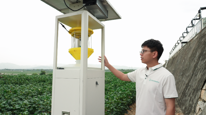 新春走基层｜“虫子飞到哪，我们的监测和研究就跟到哪”