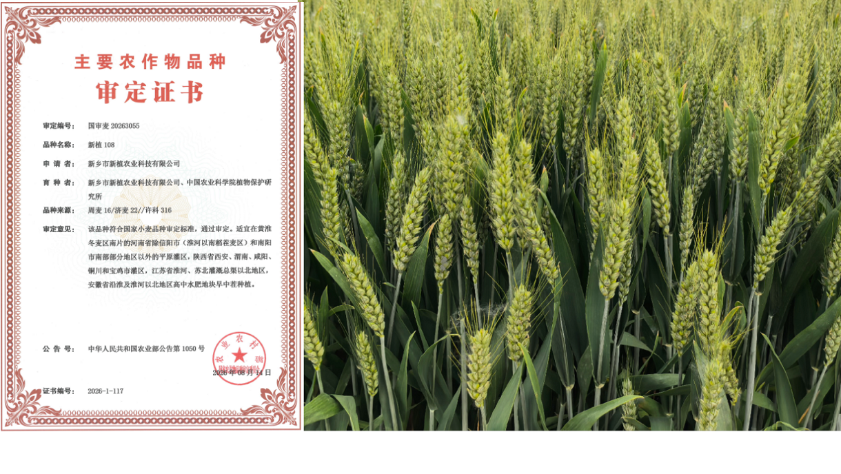 头条2 压缩B.png