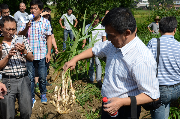 重庆市丰都县县委常委张承银,丰都县人民政府罗全良副县长,丰都县农委